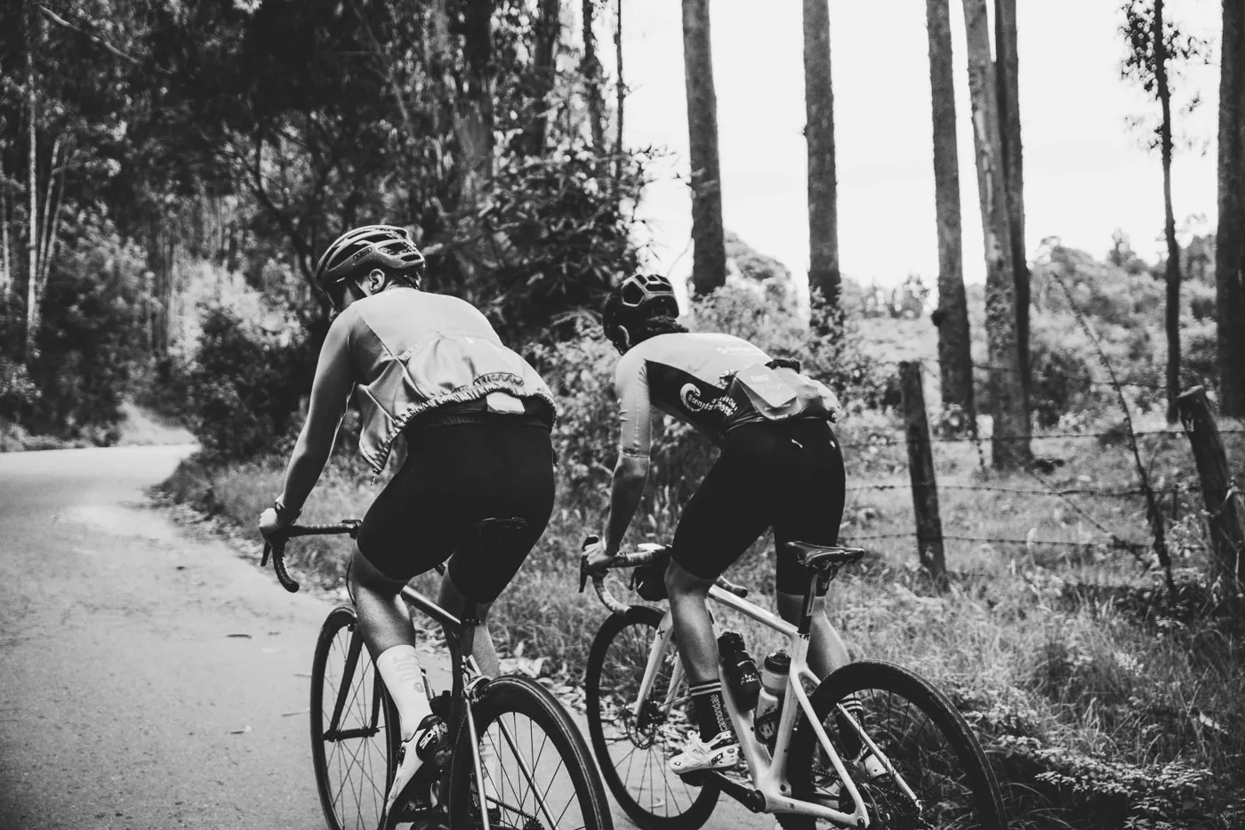 Deux cyclistes sur une route en forêt – Massage sportif et récupération à Gujan-Mestras, Bassin d’Arcachon
